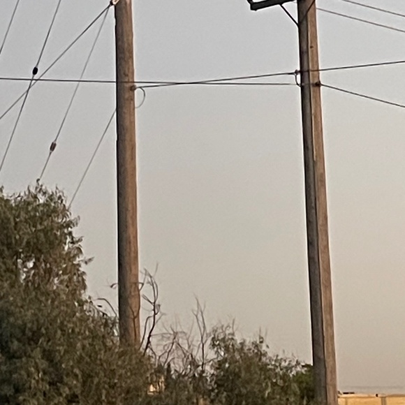 DOWNTOWN BETTY Set in Rooibis Chai -flared pants &cropped top - Picture 1 of 1